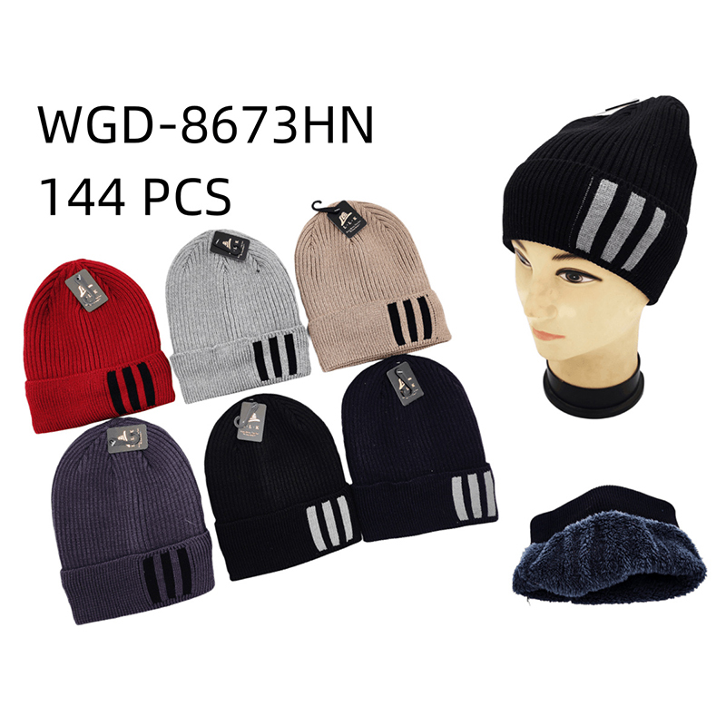 WGD-8673HN CS144